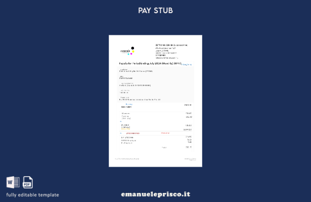 modello di busta paga Zetronix in stile verificato